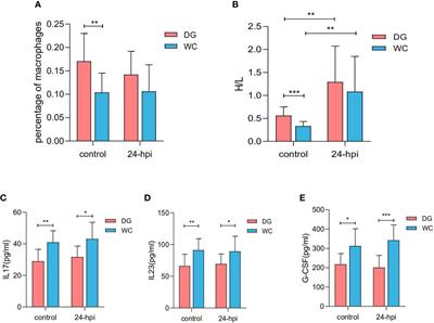 Comparative functional analysis of macrophage phagocytosis in Dagu chickens and Wenchang chickens